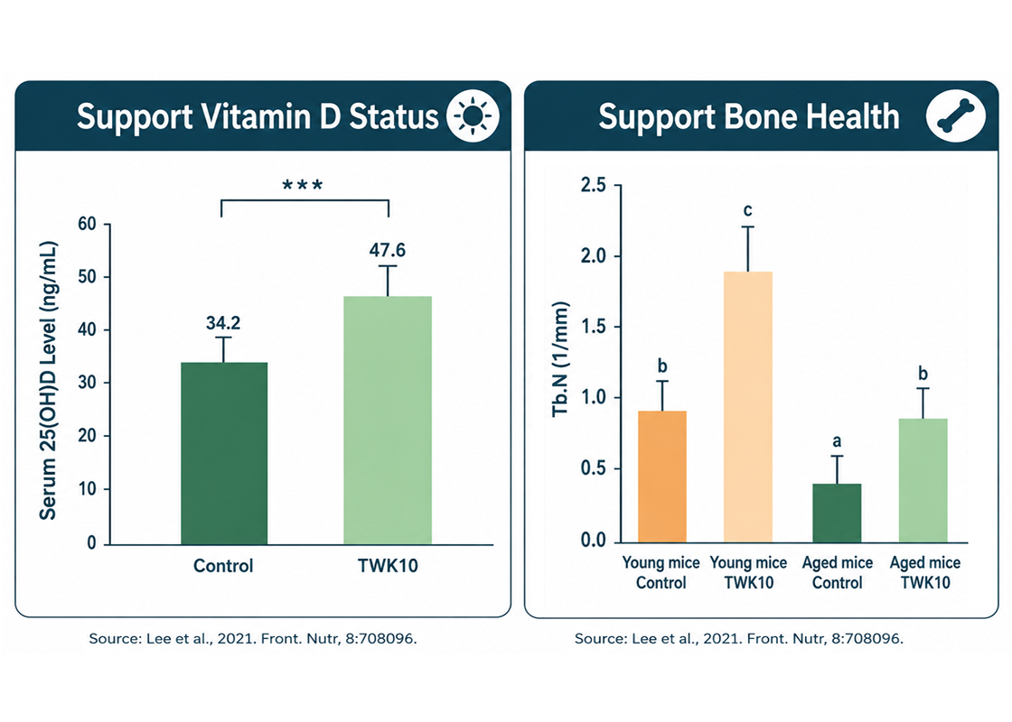 Support Vitamin D Status for Healthy Aging Bones