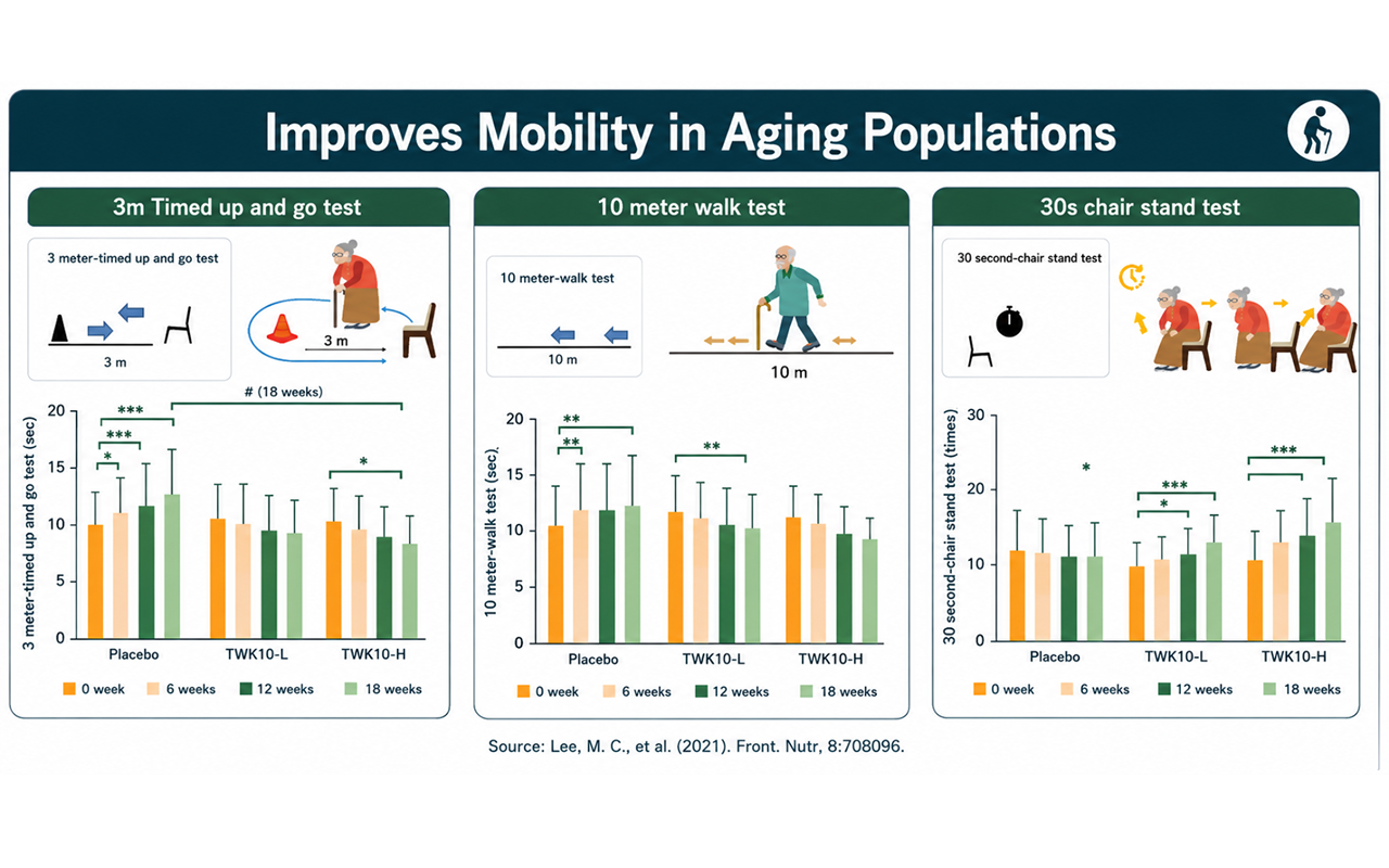 Maintain Muscle Function and Mobility in Elderly