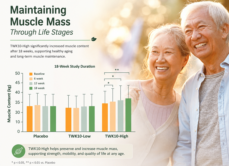 Maintaining Muscle Mass Through Life Stages