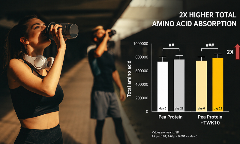 Enhance Muscle-Building Efficiency, Build a Stronger Foundation