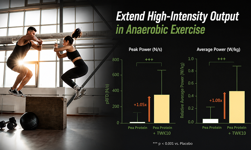 Increased Glycogen Storage for Sustained High-Intensity Output