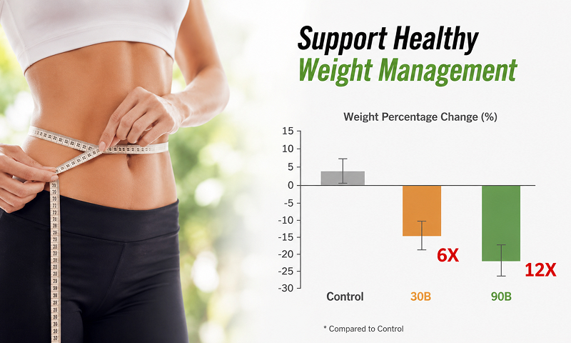Enhance Fat Metabolism, Support Lean Body Composition