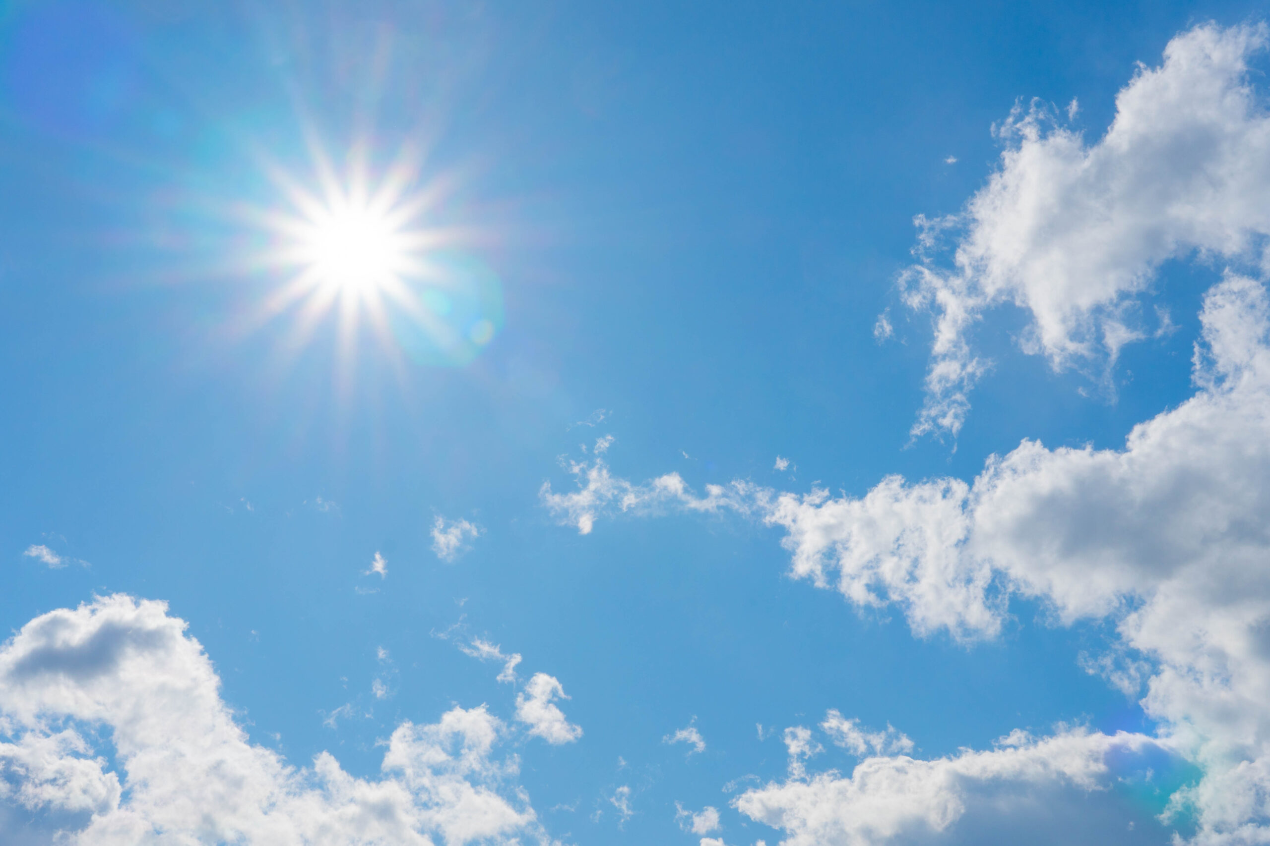 テスト投稿04｜サイト表示確認