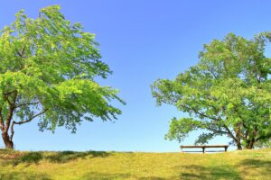 テスト投稿07｜Content Check