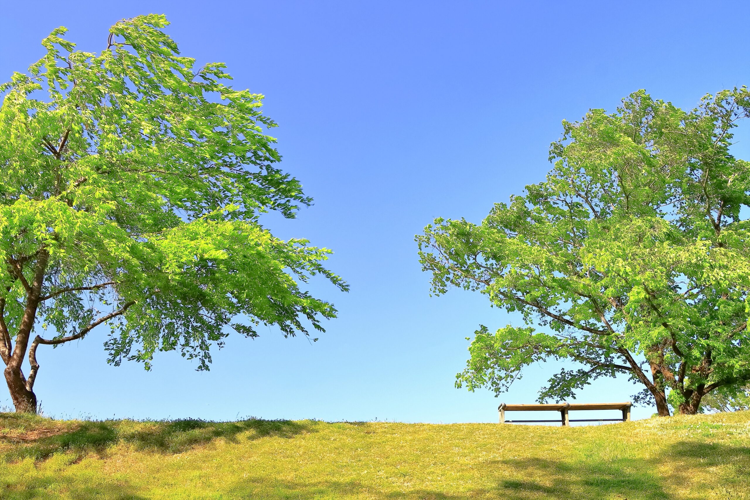 テスト投稿02｜Multi Language Post