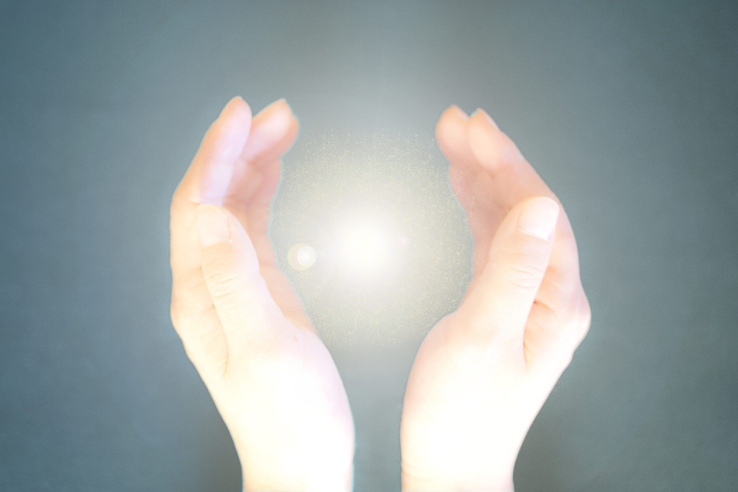 テスト投稿01｜Website Search Test